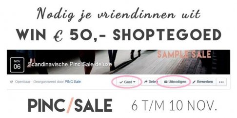Scandinavische Pinc Sale deluxe