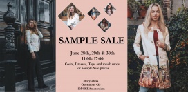 Sample Sale Weekend StoryDress